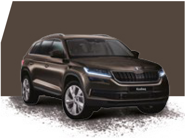 Magnetic brown skoda